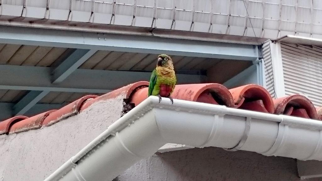 Gavea Bnb Rio de Janeiro Exterior foto